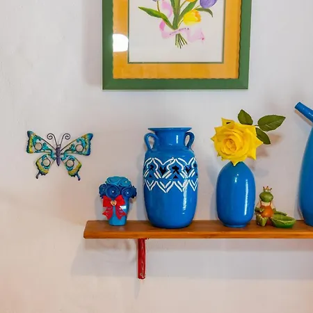 Cubo'S Casa De Las Mariposas *