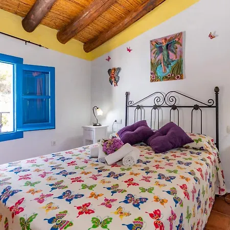 Cubo'S Casa De Las Mariposas *